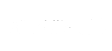 Ankura white logo